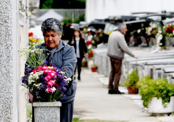 Cementerio Municipal de Curicó abre sus puertas para el Día de Todos los Santos