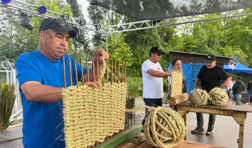 Segunda versión de la Fiesta de la Pita convocó a artesanos en Teno