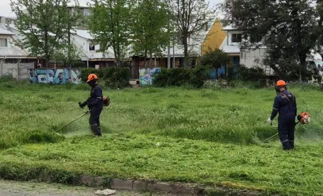 Municipio de Curicó inició trabajos preventivos ante próxima temporada de incendios