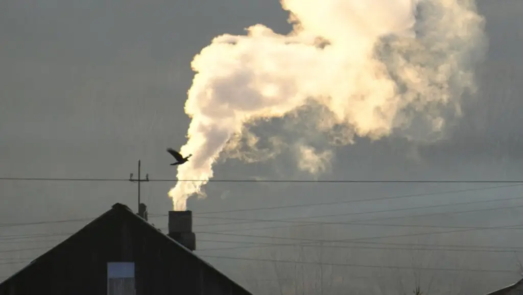 La leña en los hogares: principal fuente de contaminación en el Maule