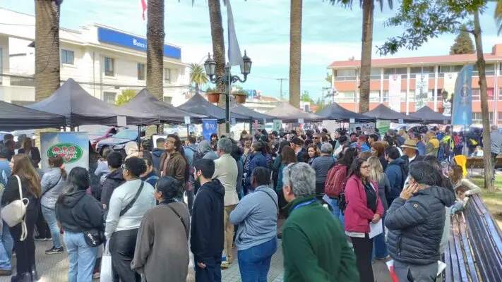 Más de 8 mil empleos disponibles en Feria Laboral de Curicó