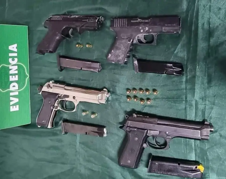Tribunal de Curicó condenó 12 años de cárcel a microtraficante de drogas que tenía armas y municiones