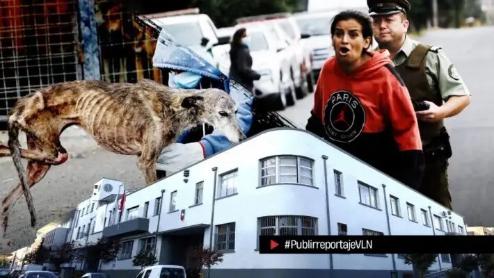 Las negligencias descubiertas en el caso Almas en el Camino