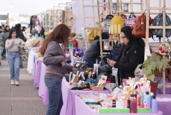 Expo Market Maule del Programa Jefas de Hogar de Constitución tendrá su cuarta versión