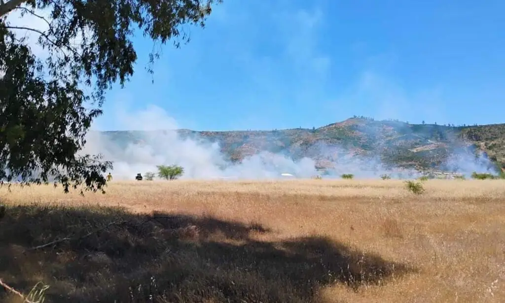 Incendio forestal en Hualañé: CONAF y Bomberos trabajan para controlar las llamas