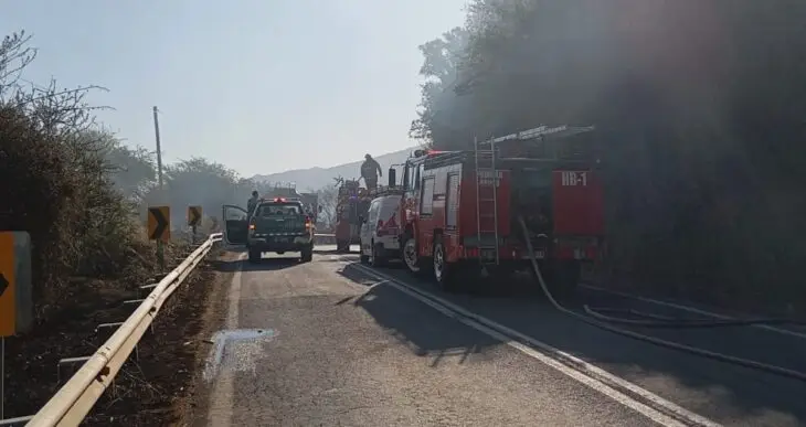 Se cancela Alerta Amarilla para la comuna de Rauco tras controlar incendio forestal