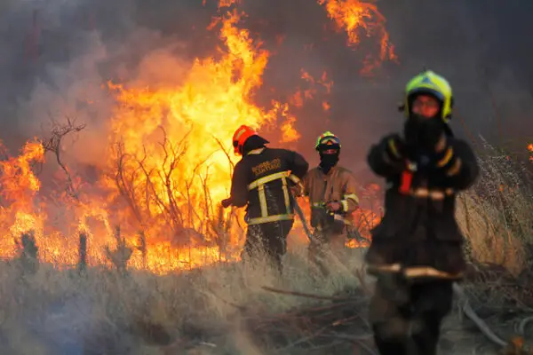 Conaf activó Botón Rojo en 90 comunas de Chile ante riesgo de incendios forestales
