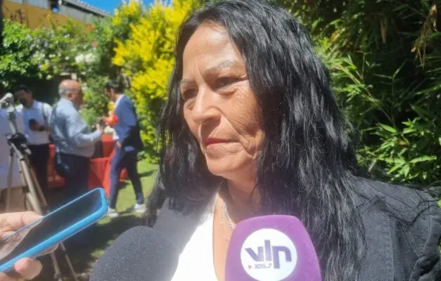 Dueña de casa y temporera: La historia de la única concejala electa en Molina