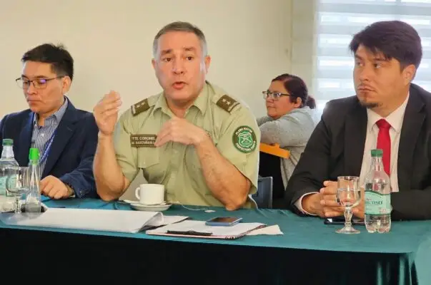 Descenso en la criminalidad: Curicó registra un 13% menos de delitos