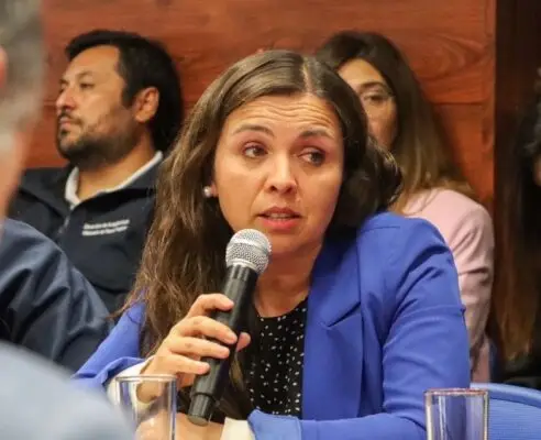 Alcaldesa de Hualañé pidió investigar velatorio donde se lanzaron fuegos artificiales