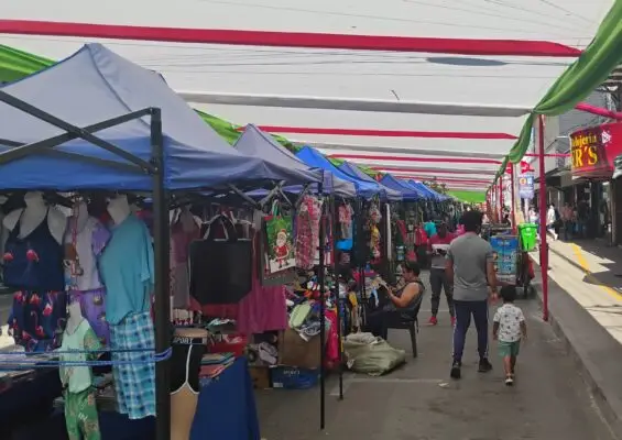 Paseo Navideño de Curicó funcionará hasta el viernes 27 de diciembre