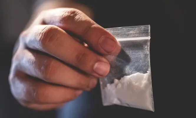 Tribunal de Curicó condenó a banda de narcotraficantes armados detenidos con más de 25 kilos de drogas