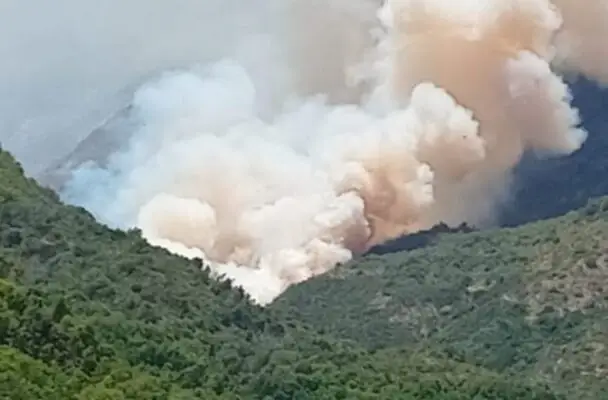 Alerta Roja en Molina: incendio forestal "El Baúl" consume 5 hectáreas y amenaza reserva natural