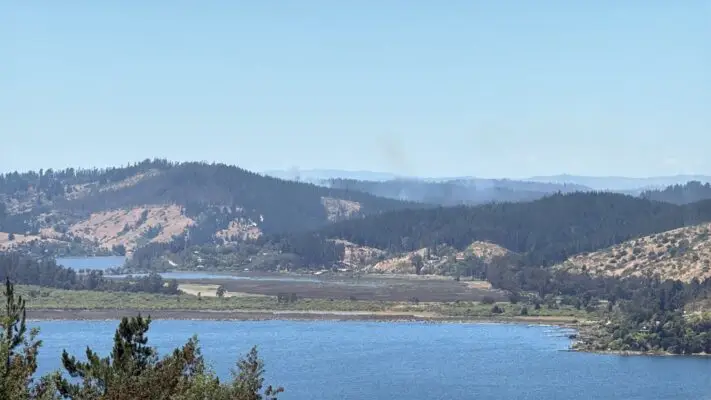 Alerta roja en Vichuquén por incendio forestal en avance