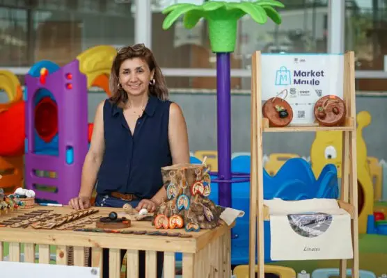 CRDP realizó balance positivo de las Expo Market Maule realizadas en 2024