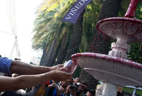 Curicó afina detalles para la Fiesta de la Vendimia 2025: Conoce la parrilla de artistas
