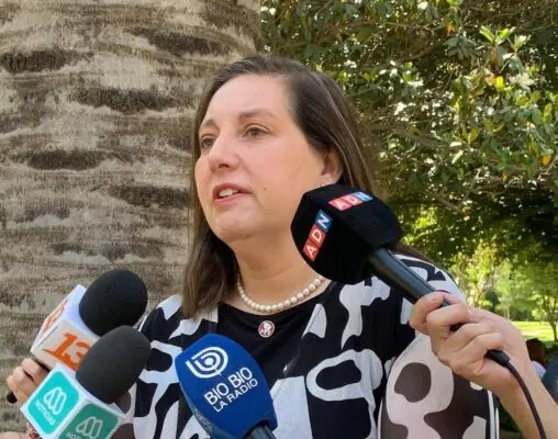 Senadora Vodanovic insiste en incluir a Curicó en Plan Calle Sin Violencia tras alto aumento de homicidios