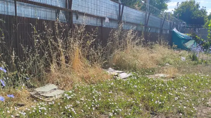 Jardín Infantil "Los Aromitos" de Curicó denuncia peligro de incendio por terreno municipal abandonado