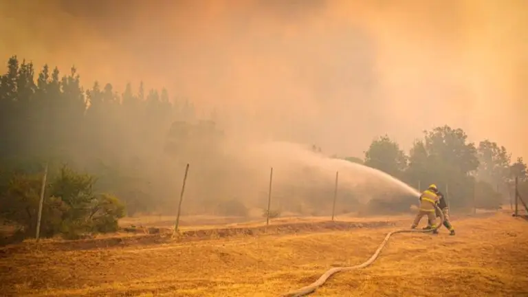 Carabineros de San Javier detuvieron a sujeto por causar incendio de pastizales y matorrales