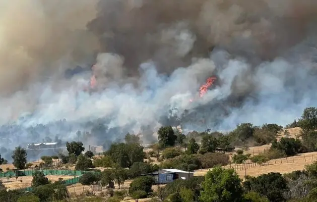 Más de 30 hectáreas destruyó incendio en sector El Parrón de Rauco