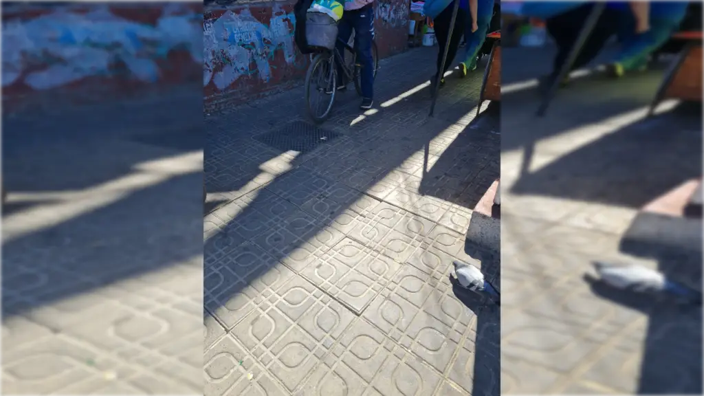 Advierten sobre baldosa suelta que provoca caídas en calle Peña esquina Av. Camilo Henríquez