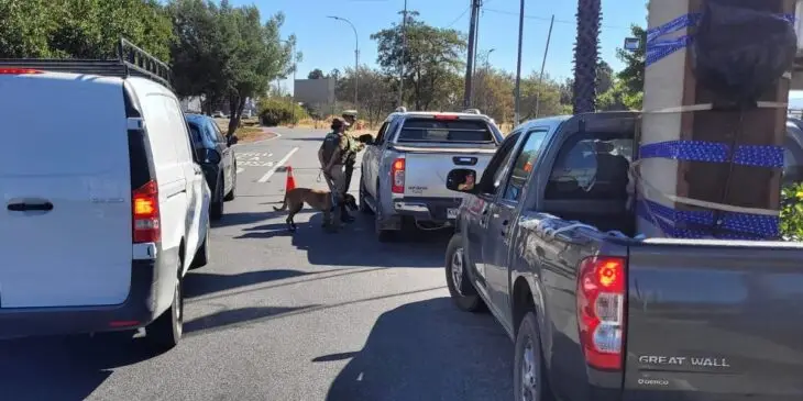 Carabineros intensifica controles en Ruta 5 Sur para combatir el narcotráfico y asegurar la seguridad vial