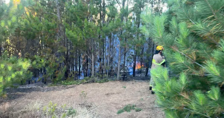 Confirman muerte de 3 ocupantes de helicóptero que cayó en O’Higgins