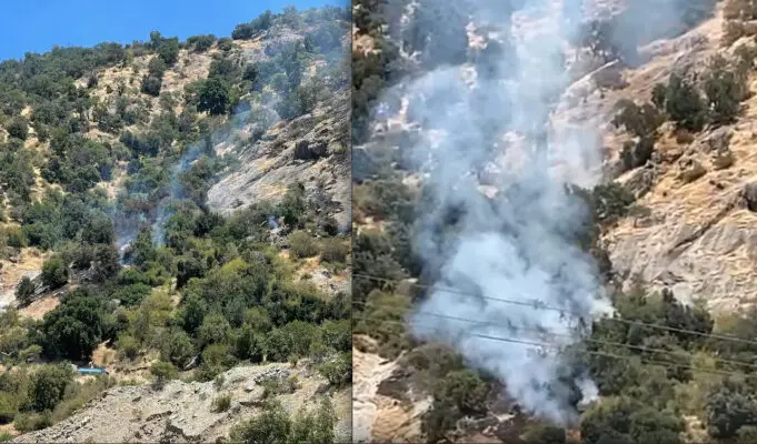 Formalizan a responsable de incendio forestal provocado por tronadura en Rauco