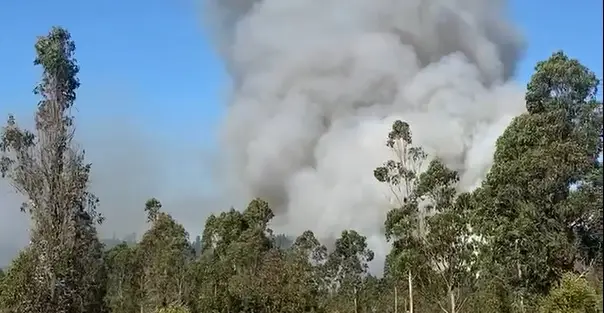 Incendio forestal en Vichuquén: Conductor de tractor detenido