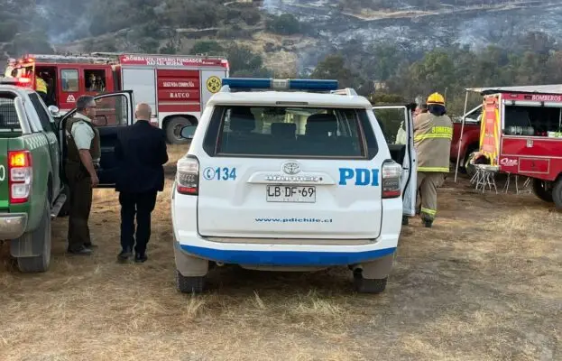 Incendio forestal "El Parrón" en Rauco deja pérdidas en colmenas y animales