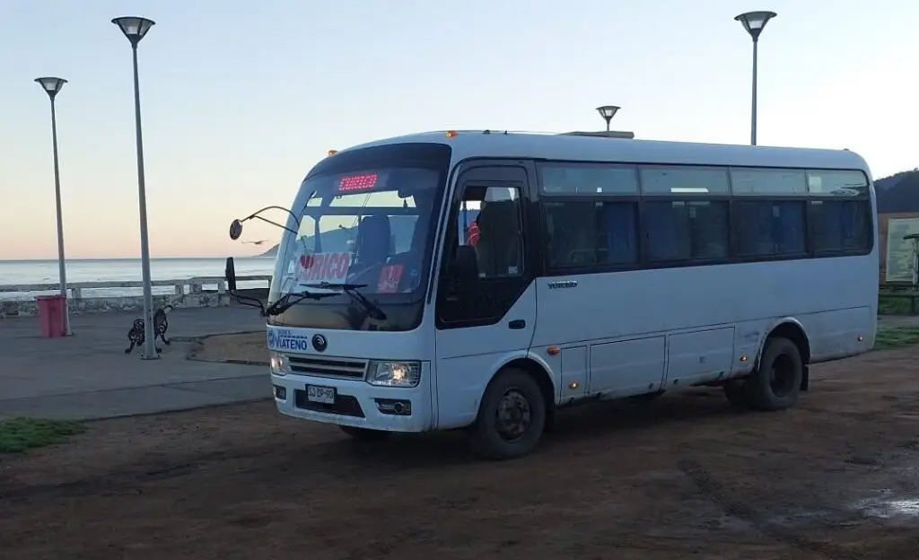 "Inmediatamente fue desvinculado": Empresario microbusero pide disculpas a sus pasajeros por conductor ebrio