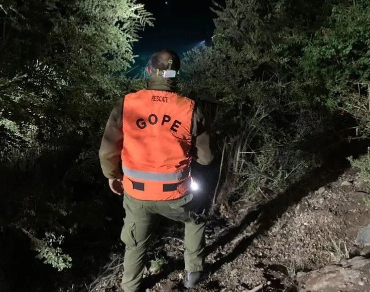 Rescatan a dos curicanas extraviadas en la alta cordillera de San Clemente