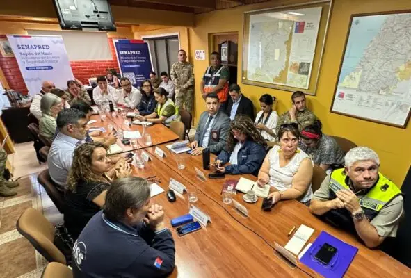 Subsecretarios de Defensa y Agricultura monitorean incendios forestales en el Maule