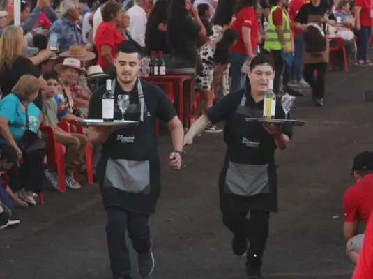 Publican bases para postular a Carrera de Garzones en Molina