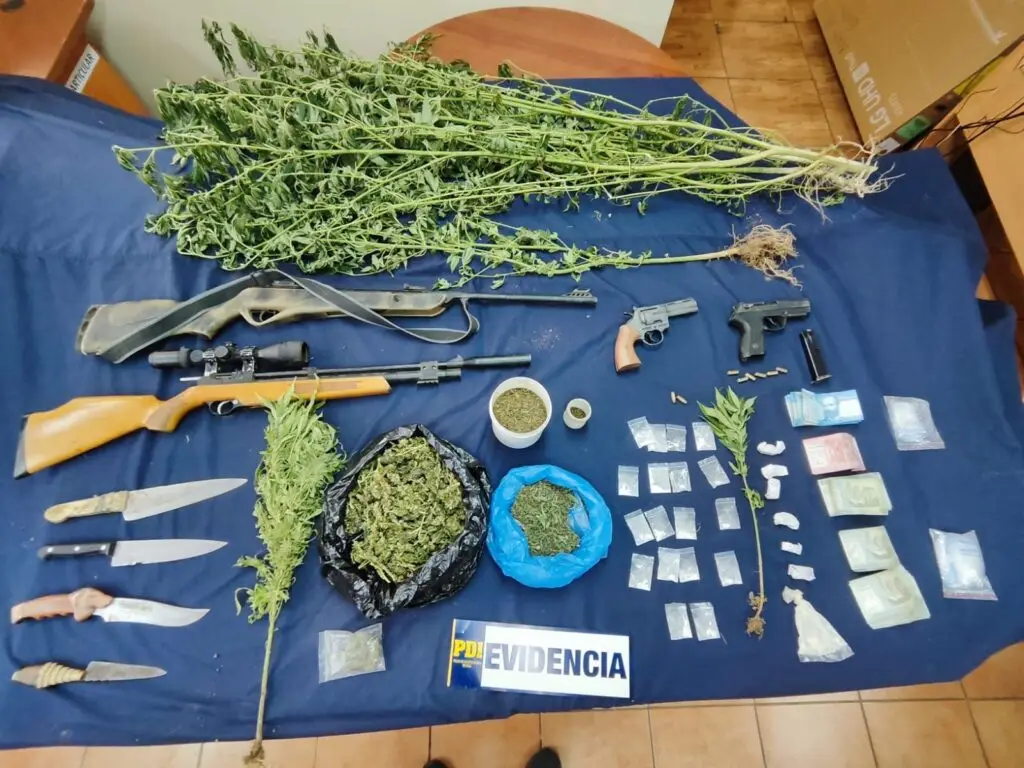 Traficante detenido en Molina lesiona a policías durante operativo