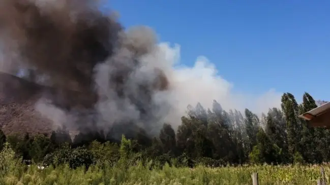 Alerta Roja en Litueche por incendio forestal que amenaza zonas pobladas