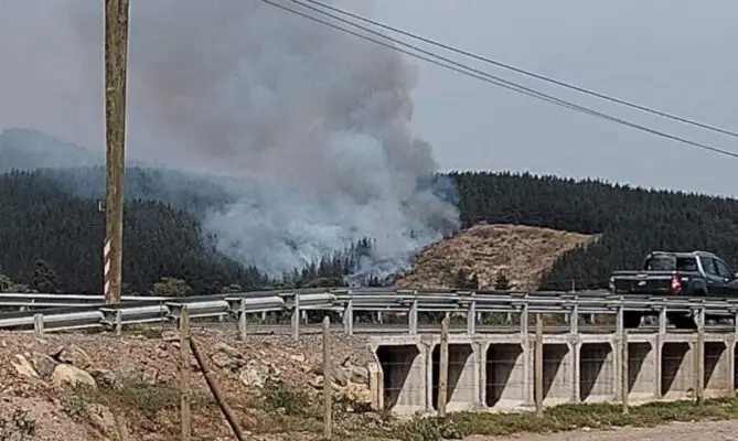 Nuevo incendio forestal afecta a la comuna de Curepto en medio de alerta amarilla por altas temperaturas