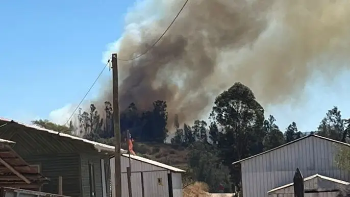 Indignación en Docamávida: Acusan que se priorizó salvar un bosque antes que la vida de la médico fallecida en incendio forestal
