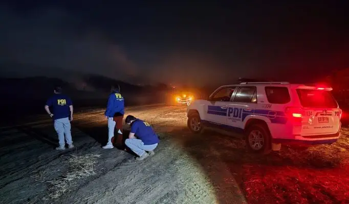 Incendio forestal en “Villa Baviera” ya ha consumido 50 hectáreas: Alerta Amarilla se mantiene vigente