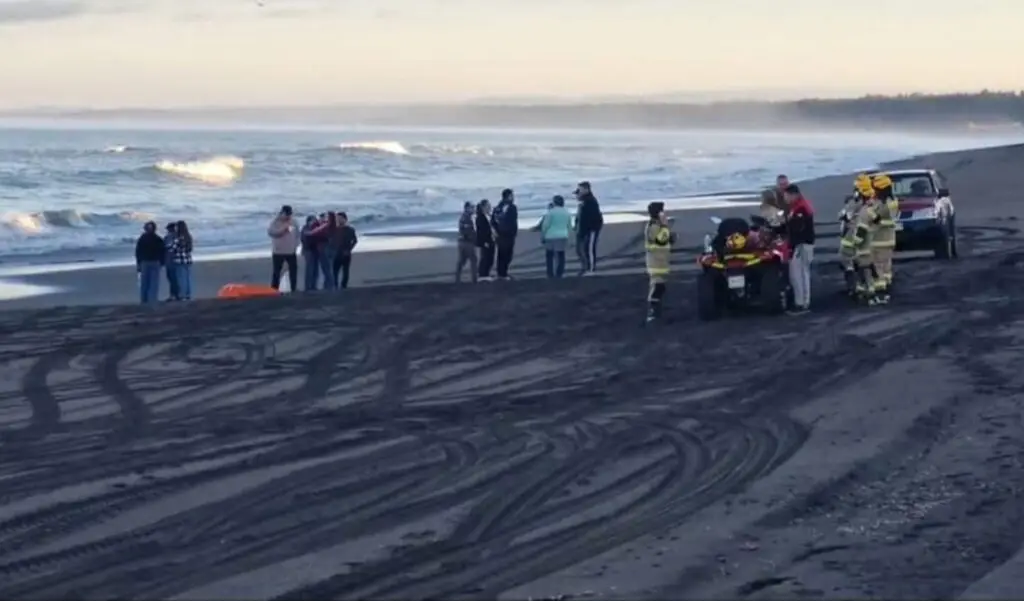 Mujer es encontrada sin vida en playa de Pelluhue