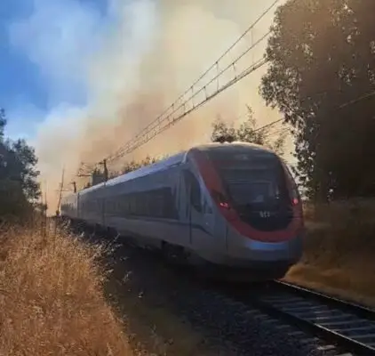 Incendio forestal detuvo paso de tren con pasajeros frente a Itahue-Molina