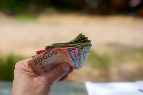 Bono Marzo 2025: revisa con tu RUT si recibes el último pago del Aporte Familiar Permanente
