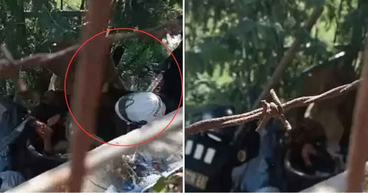 Brutal agresión de guardias municipales en Viña del Mar: video revela violencia desmedida