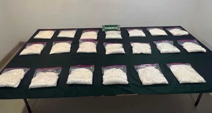 Perro policial detecta casi 20 kilos de droga en vehículo: Conductor a prisión preventiva