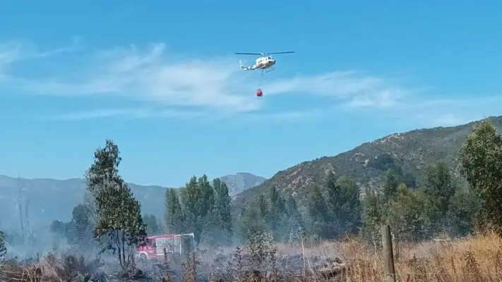 Dos incendios forestales movilizan a Bomberos y CONAF en la provincia de Curicó