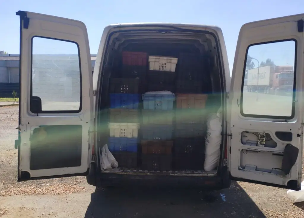 Carabineros Curicó decomisa cargamento clandestino de pescados y mariscos