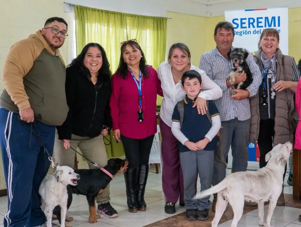 Municipio de Rauco inició operativo veterinario en la comuna