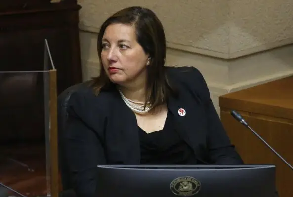 Senadora Vodanovic solicitó a la superintendencia de Educación investigar violencia escolar en el Maule
