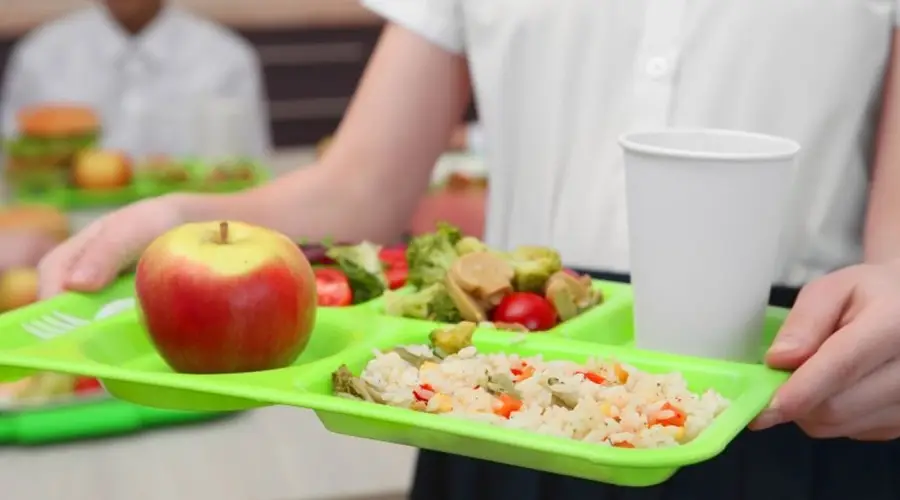 Junaeb respondió a robo de alimentos en colegios: "Hay protocolos que aseguran la alimentación de los estudiantes"