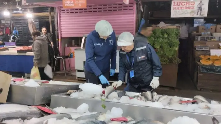 Seremi de Salud fiscaliza venta de productos del mar en Feria Libre de Curicó
